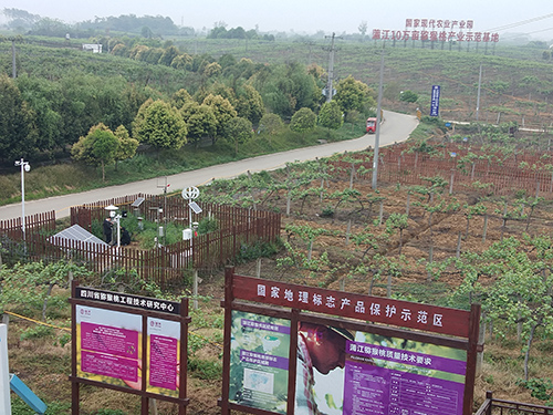 欧柯奇害虫远程监测系统守护成都果木基地种植安全