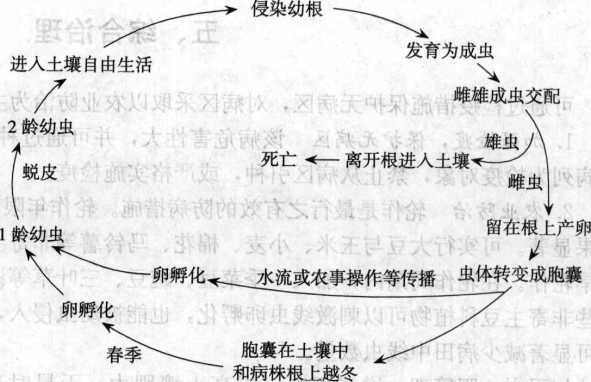 大豆胞囊线虫病的病害循环