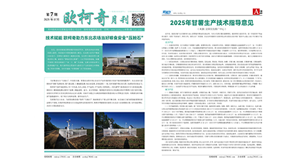 2025年第七期《欧柯奇月刊》发行